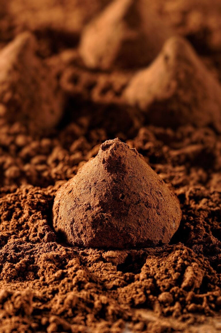 truffles, cocoa, chocolate, delicious, sweet, manufacturing, manually, handmade, candy, product photo, food photography, cocoa, cocoa, chocolate, chocolate, chocolate, chocolate, chocolate